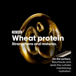 Absolut Repair Masque Golden