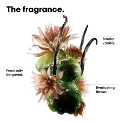 Absolut Repair Molecular Bi-phase Oil