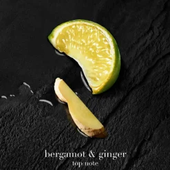 Acqua di Giò Parfum