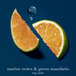 Acqua di Giò Profondo Eau de Parfum