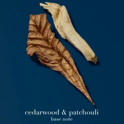 Acqua di Giò Profondo Eau de Parfum