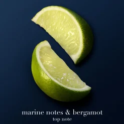 Acqua di Giò Profondo Parfum