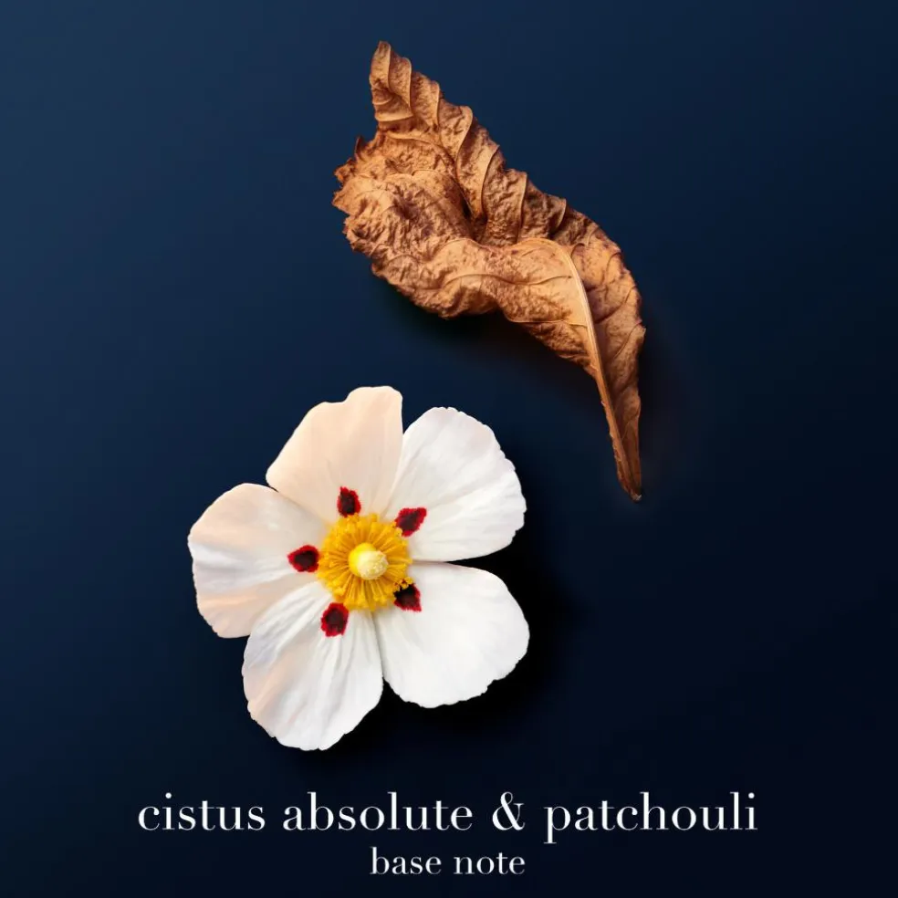 Acqua di Giò Profondo Parfum