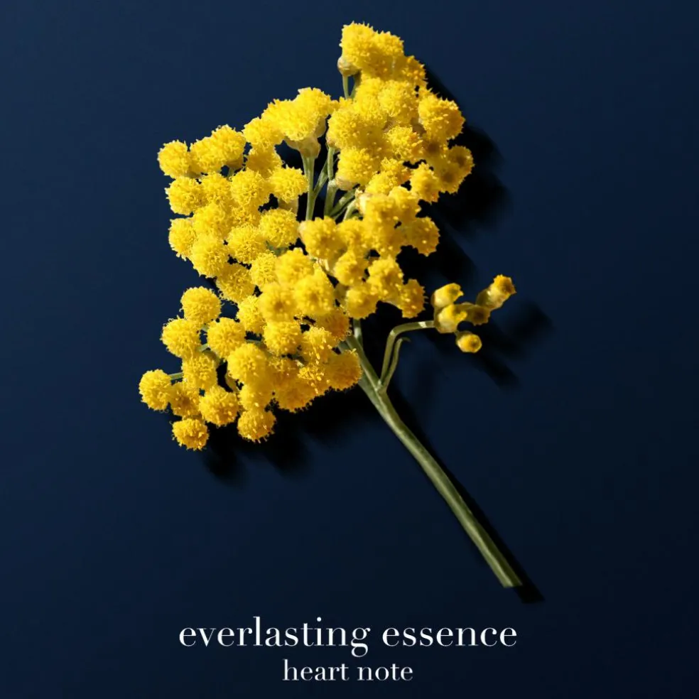 Acqua di Giò Profondo Parfum