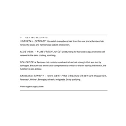 Aloe Mint Volume Shampoo