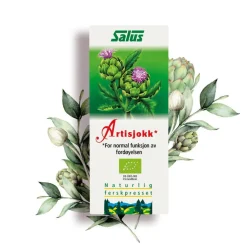 Artiskoksaft Schönenberger Ø