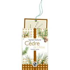 Atlas Cedar