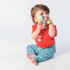 Atom Teether Toy