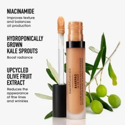 BAREPRO 16HR All Over Skin-Perfecting Matte Concealer Mineral SPF 25