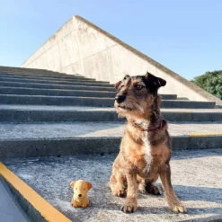 Bidedyr Hund Naturgummi