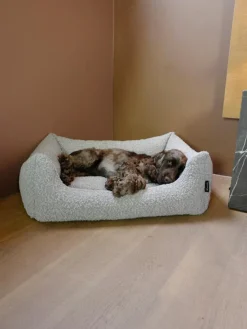 Billy Bouclé Hundeseng