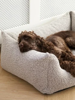 Billy Bouclé Hundeseng