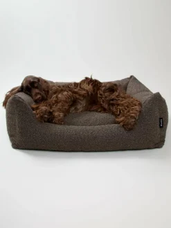 Billy Bouclé Hundeseng