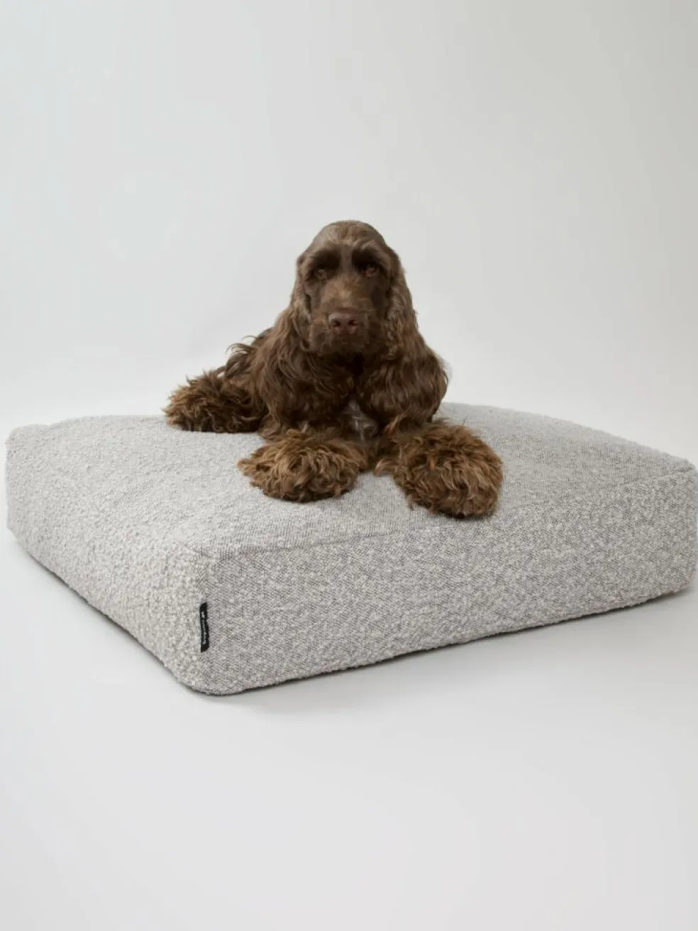 Billy Bouclé Mundepude