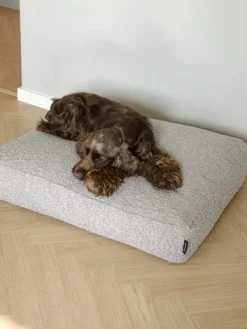 Billy Bouclé Mundepude