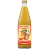 Æble Mango saft Ø