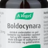 Boldocynara