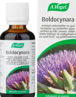 Boldocynara