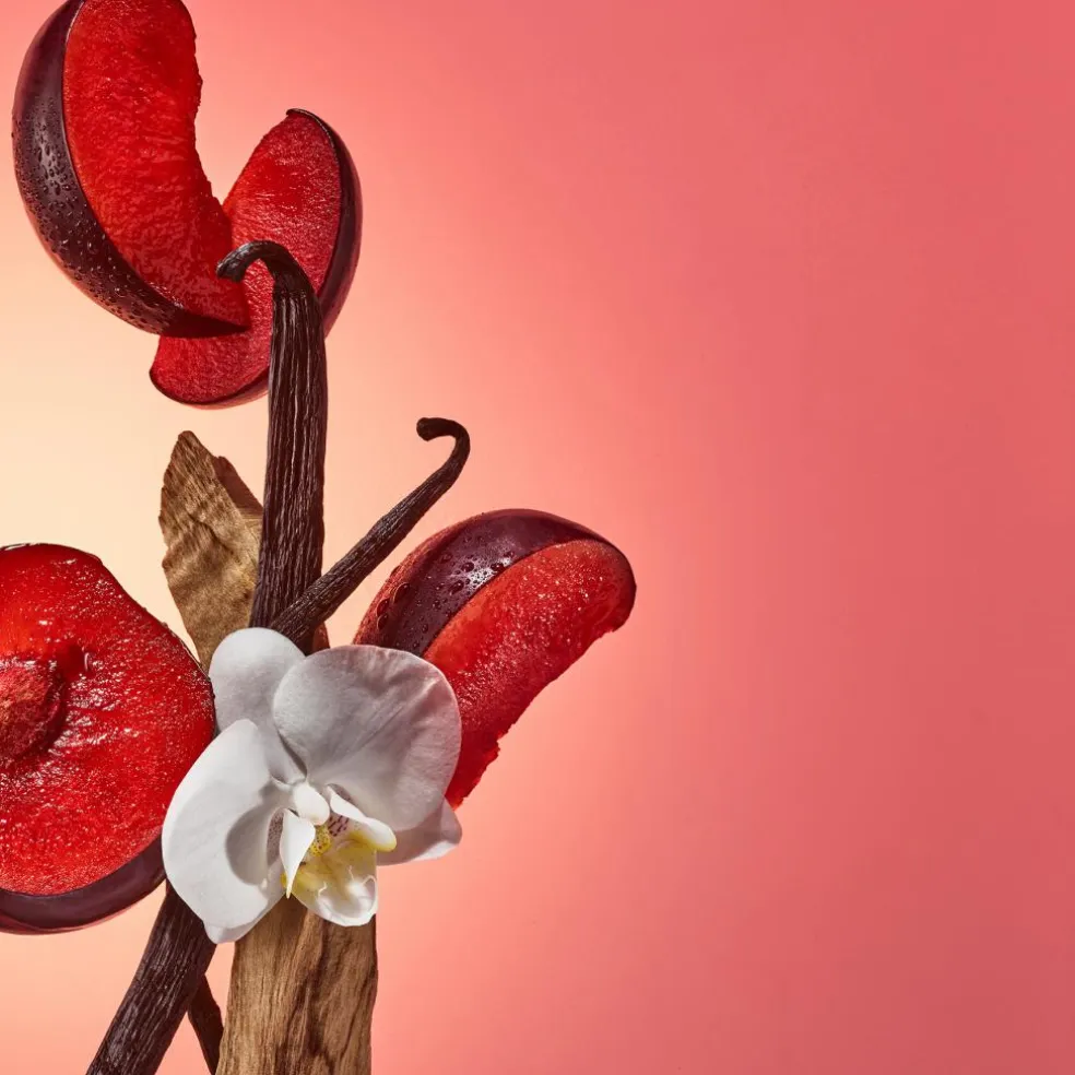 Bom Dia Bright Cream