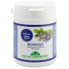 Borago hjulkroneolie 500 mg