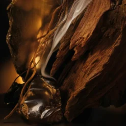 Boss Bottled Elixir Parfum Intense For Men