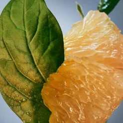 Bottled Infinite Eau de Parfum for Men