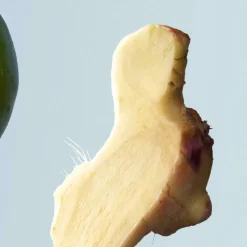 Bottled Tonic Eau de Toilette for Men