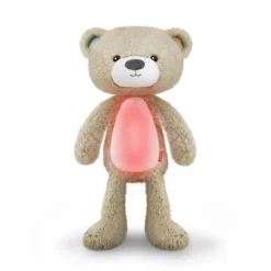 Brody the Bear Sleeptrainer