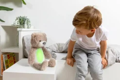 Brody the Bear Sleeptrainer