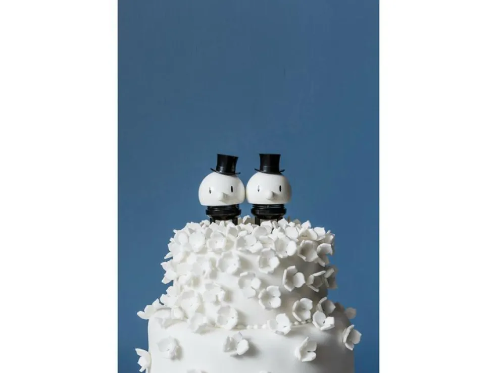 Brudegom og brudegom