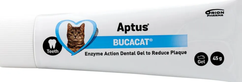 Bucacat Pasta Tandgel Kat