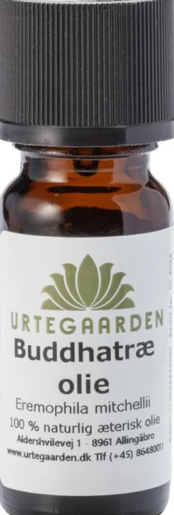 Buddhatræolie
