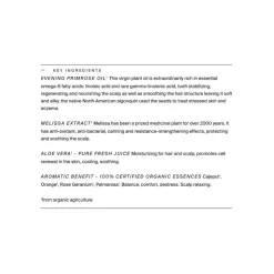 Cajeput Pure Balance Conditioner