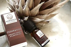 Cedertræ Olie Økologisk
