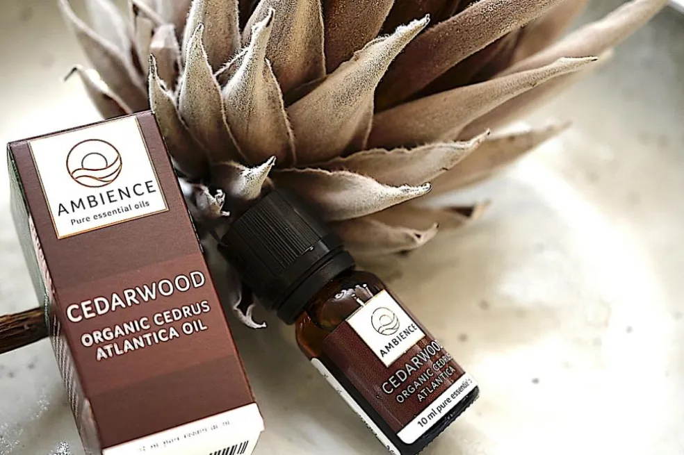 Cedertræ Olie Økologisk