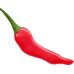 Chili Bomb Shiny Lipgloss