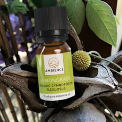 Citrongræs Olie Økologisk