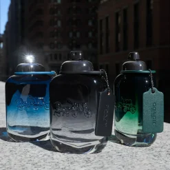 Coach Blue Eau de Toilette