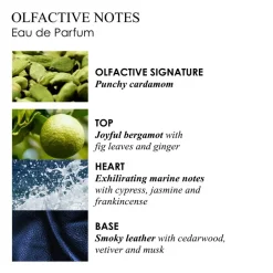 Coastal Cypress & Sea Fennel Scented Candle