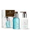 Coastal Cypress & Sea Fennel Hand Care Duo
