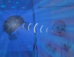 Cody the Crab Projector