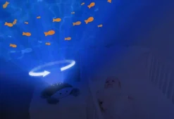 Cody the Crab Projector