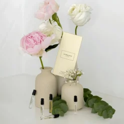 Cologne Discovery Collection