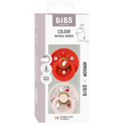 Colour Round Latex 2 Pack