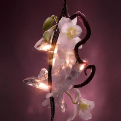 Cosmic Kylie Jenner Eau de Parfum for Women