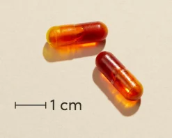 CurcuSym Boost® Kosttilskud