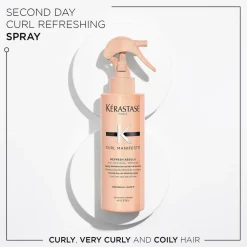 Curl Manifesto Refresh Absolu Leave-in