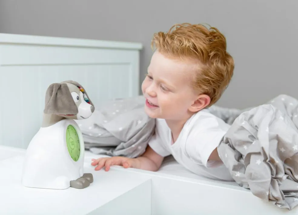 Davy the Dog Sleeptrainer