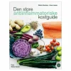 Den store antiinflammatoriske
