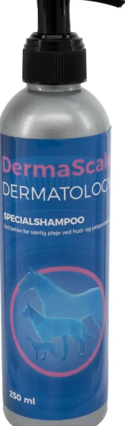 DermaScale Specialshampoo